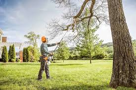 How Our Tree Care Process Works  in  Heidelberg, PA